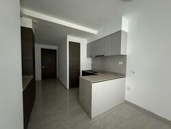 The Florence Residences (D19), Apartment #512975911